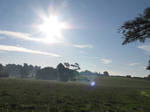 SX20066 Fields at Llantwit Major.jpg